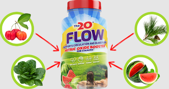 The 20 Flow Ingredients